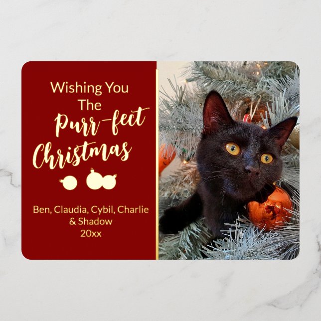 Wishing You the Purr-fect Christmas Cat Photo Foil Holiday Card (Front)