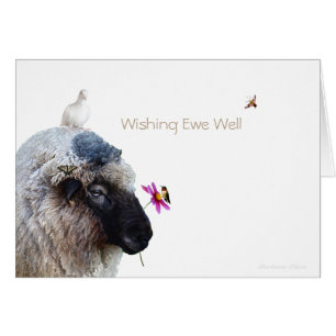 Wishing you Well: Healing Gifts of nature