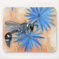 "Wispy Wasp"