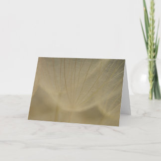 Wispy White Flower Card