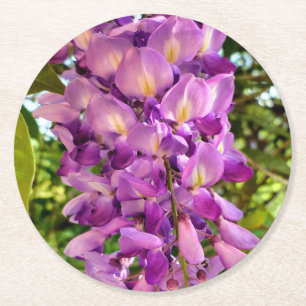 Wisteria Bloom Round Paper Coaster