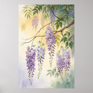 Wisteria Blossoms Poster