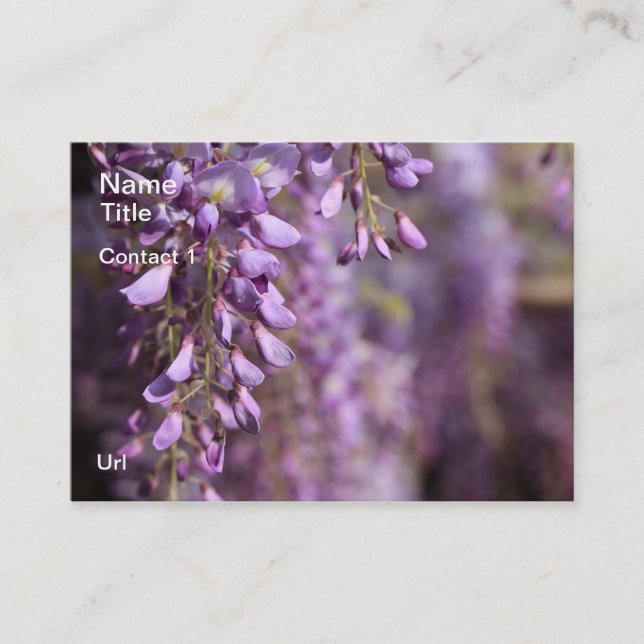 Wisteria Business Cards (Front)