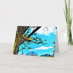 Wisteria, card