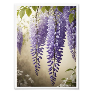 Wisteria flower Poster Wall Art Wall Decor