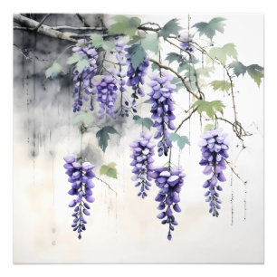 Wisteria Flowers Nature Photo Print
