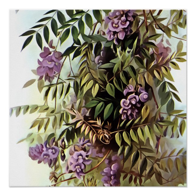 Wisteria Frutescens Botanical Art Painting Poster (Front)