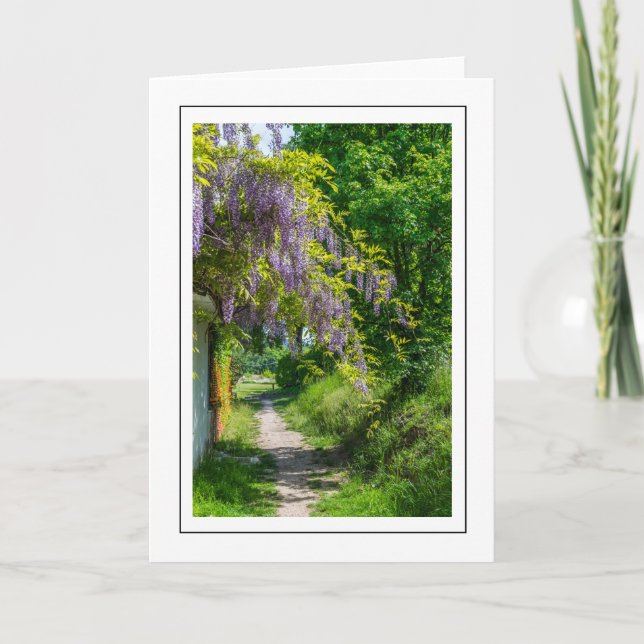 Wisteria greeting card (Front)