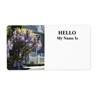 Wisteria in Bloom