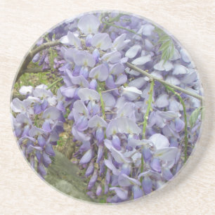 Wisteria in the Woods Coaster