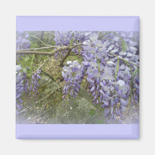 Wisteria in the Woods Magnet