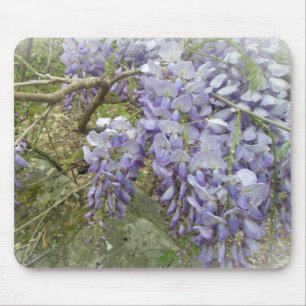 Wisteria in the Woods Mouse Pad