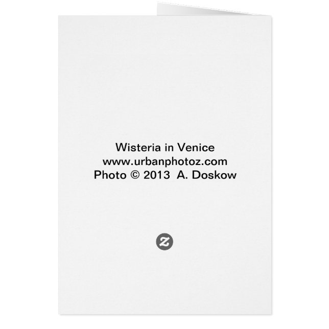 Wisteria in Venice (Back)