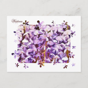 WISTERIA POSTCARD