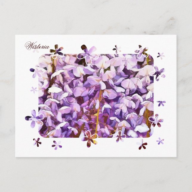 WISTERIA POSTCARD (Front)