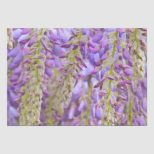 Wisteria Purple Floral Blossom Tree Violet Tissue Paper