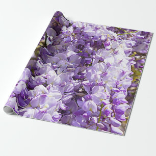 Wisteria Purple Floral Blossom Tree Violet Wrapping Paper