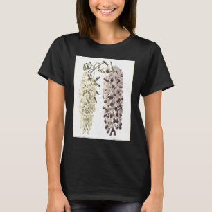 Wisteria Sinensis Botanical Isolated On White T-Shirt