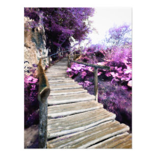 wisteria stairs photo print