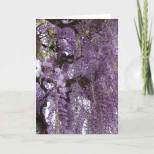 Wisteria Too Card