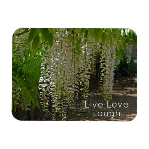 Wisteria White Garden Flowers Live Love Laugh Magnet