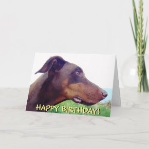Wistful red doberman birthday card