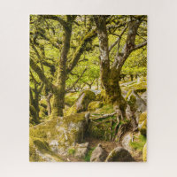 Wistman's Wood Dartmoor Devon England UK