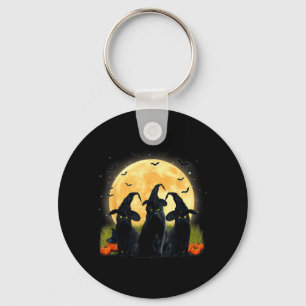 Witch Black Cat And Full Moon Pumpkin Halloween Key Ring