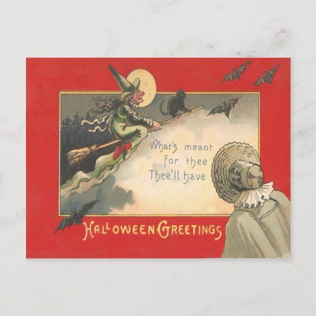 Witch Black Cat Full Moon Bat Tree Woman Night Postcard (Front)