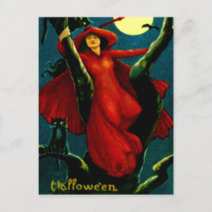 Witch & Black Cats Postcard