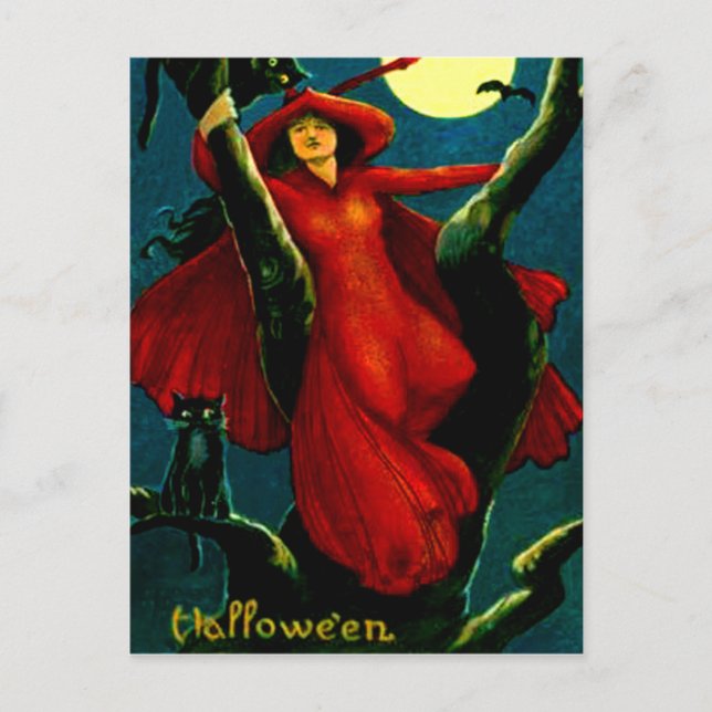 Witch & Black Cats Postcard (Front)