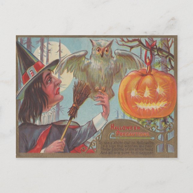 Witch Broom Jack O Lantern Owl Moon Postcard (Front)