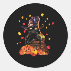 Witch Cat Pumpkin Fall Lover Fun Cat Gift for Men Classic Round Sticker