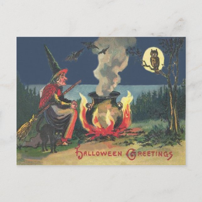 Witch Cauldron Black Cat Bat Postcard (Front)
