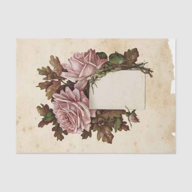 Witch Ephemera  Design Series #13 Tissue Paper (Front)