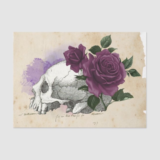 Witch Ephemera  Design Series #6 Tissue Paper (Front)