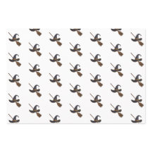 Witch Hat and Broomstick