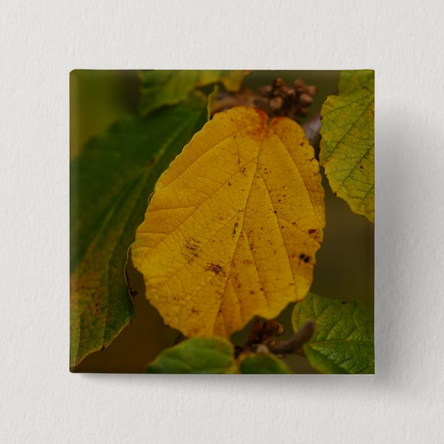 Witch Hazel Badge (Front)