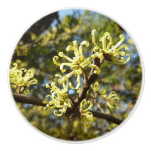 Witch Hazel Flowers Ceramic Knob