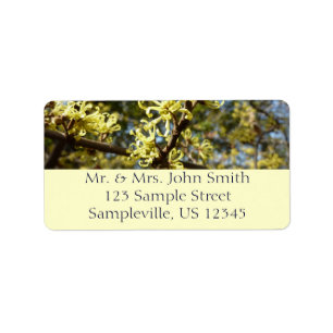 Witch Hazel Flowers Label