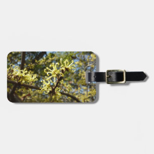 Witch Hazel Flowers Luggage Tag