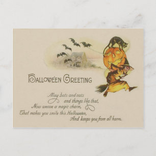 Witch Jack O' Lantern Black Cat Bat Postcard