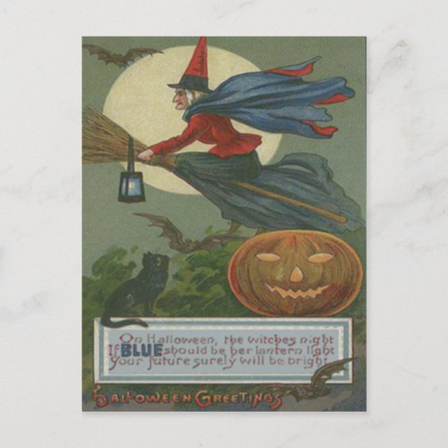 Witch Jack O Lantern Black Cat Full Moon Postcard (Front)