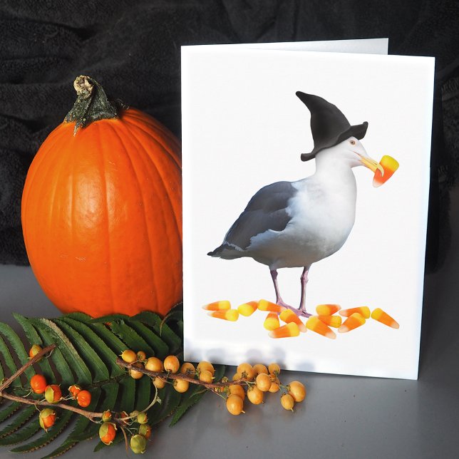 Witch Seagull Halloween Card (Creator Uploaded)