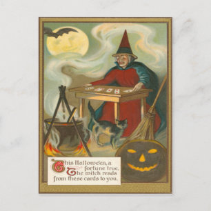 Witch Tarot Bat Full Moon Black Cat Postcard