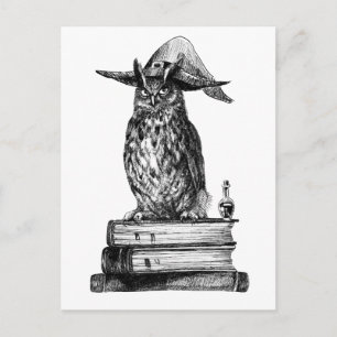 Witchcraft owl Halloween magic Postcard