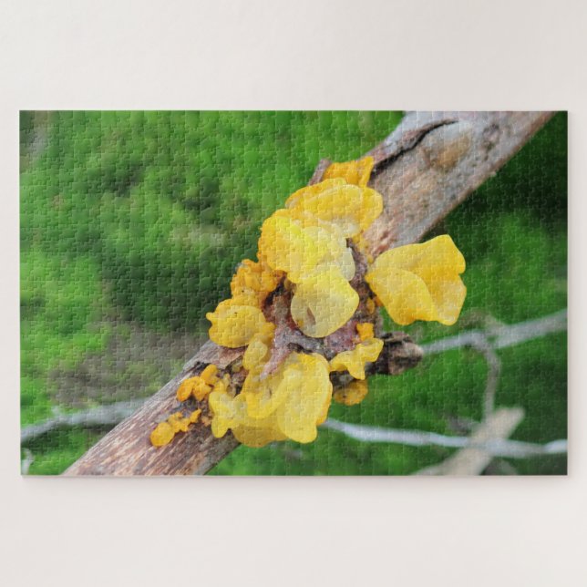 Witches Butter Mycelium Puzzle (Horizontal)