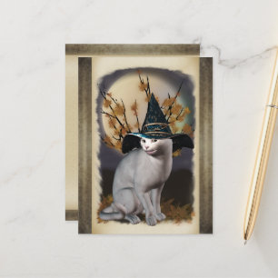 Witches Cat Postcard