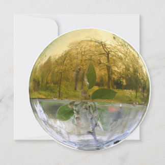 Witchy Flower Essence Dew Thank You Card