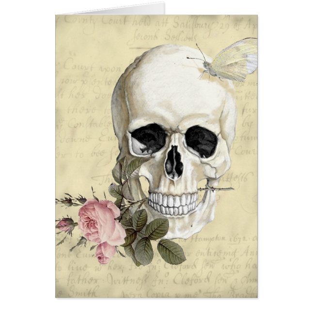 With a rose between my teeth (Front)